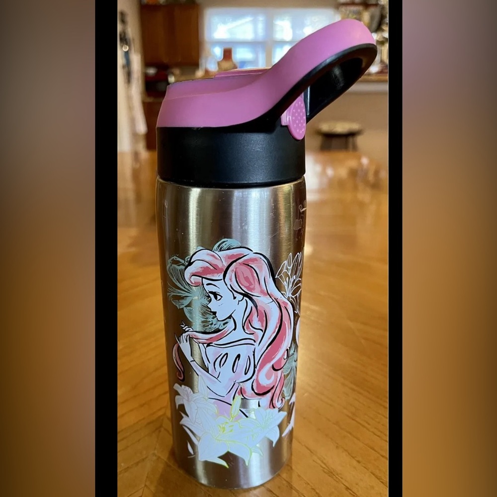 Zak Designs Disney Princess 19oz Stainless Steel Water Bottle